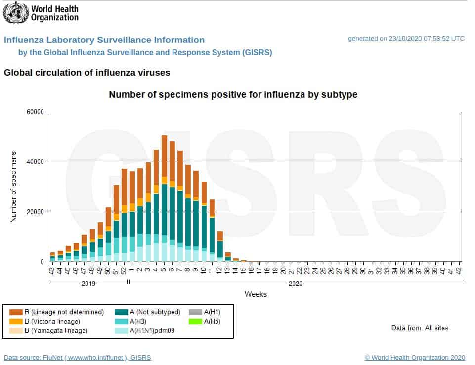 WHO Influenza wurde ausgerottet